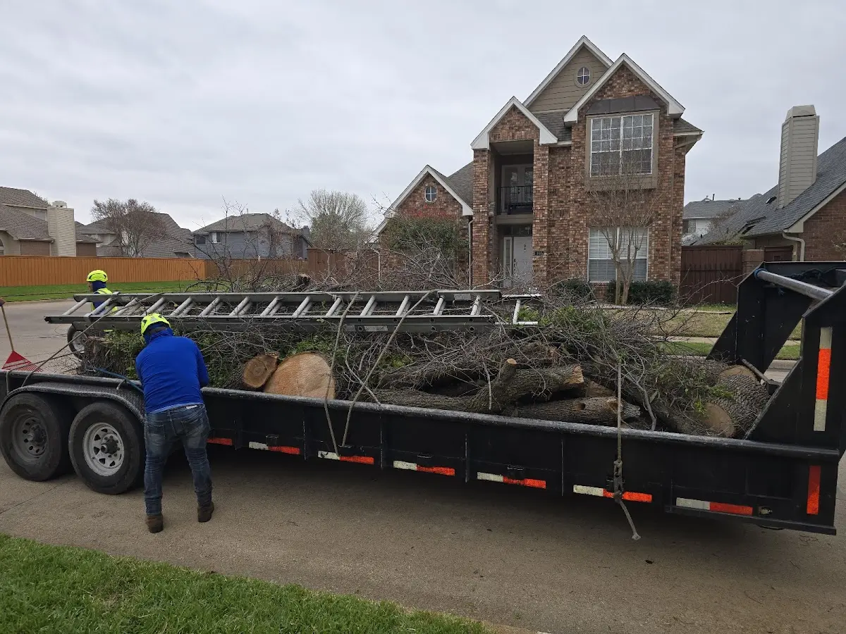 Expert Crown Reduction with proper safety equipment in Miamisburg